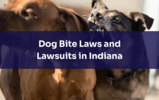Indiana Dog Bite Lawsuits | Habig Injury Law