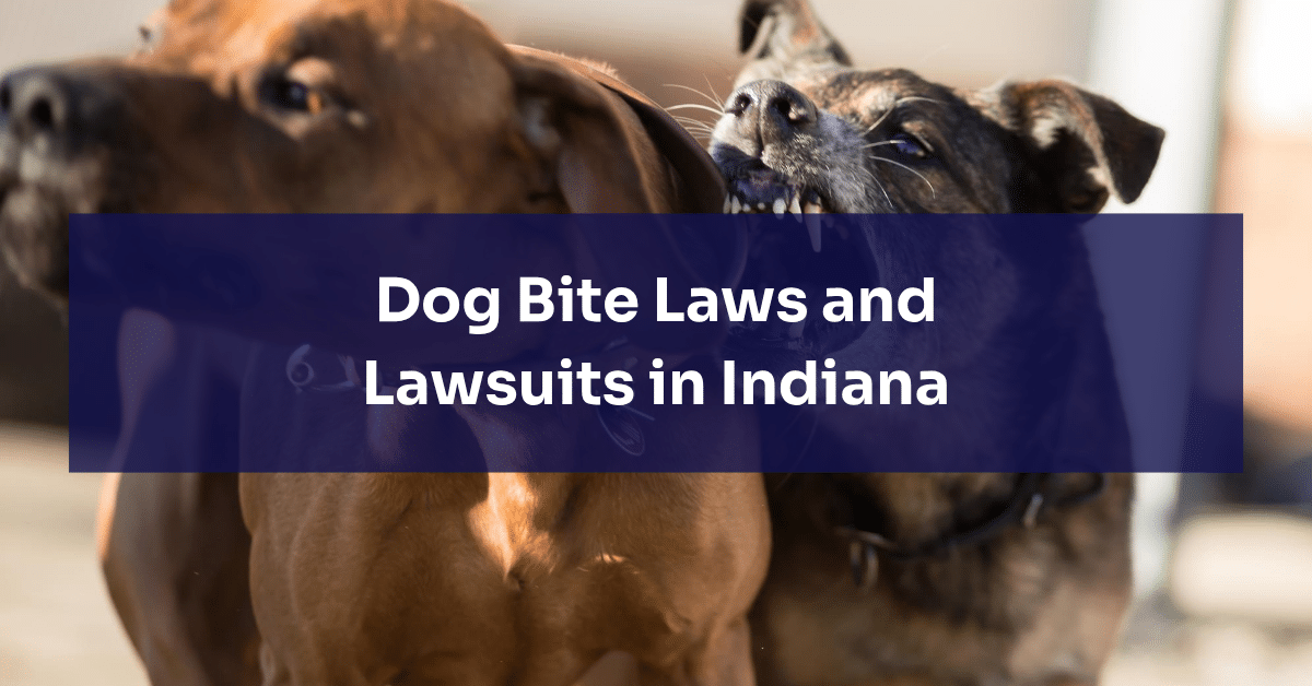Indiana Dog Bite Lawsuits | Habig Injury Law